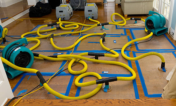 Professional Basement Flood Cleanup technician working in Adair, OK